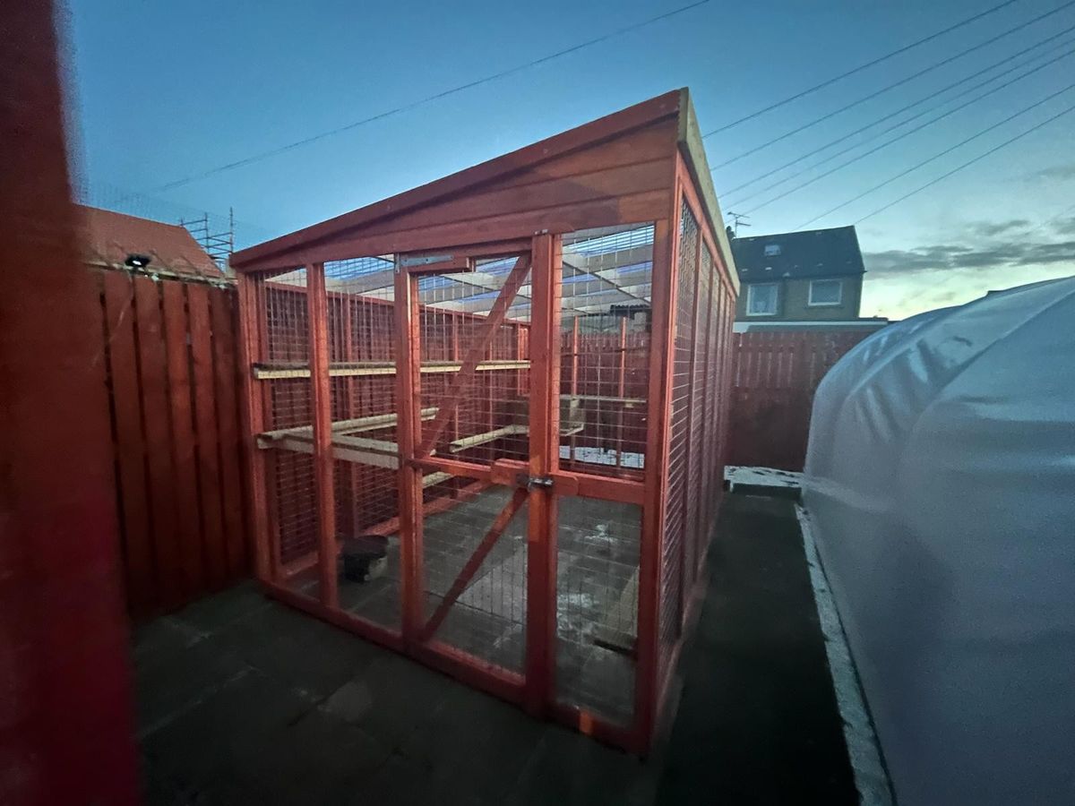 Completed project by The Shed Centre Falkirk — image 10